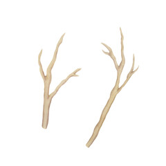 Set of watercolor brown bare dry tree branches without leaves on isolated background. Hand drawn illustration of plant twigs. Clip art for design, cards, labels, invitations, greetings, packaging
