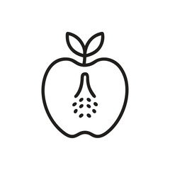 Apple Seeds Icon, Apple Diet Fruit Icon on white background
