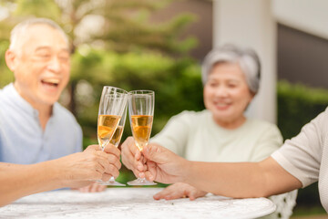 A group of people clink champagne glasses together in a celebratory toast. The image conveys joy, celebration, and togetherness in an outdoor setting, symbolizing special moments and shared happiness.