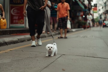 A fluffy white puppy energetically trots down a lively urban street, exploring the world with fresh curiosity.