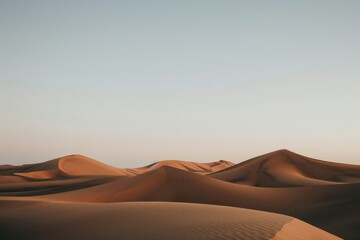 Serene golden dunes roll under a soft blue sky, evoking a sense of calm and timeless beauty in the vast expanse of the desert landscape.