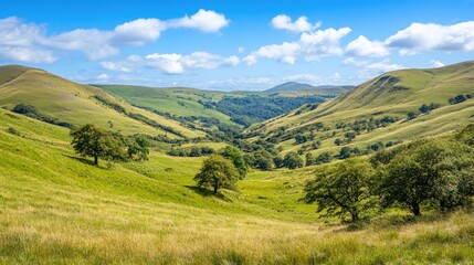 Obraz premium Serene Green Valley with Lush Landscape Under Blue Sky