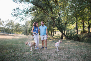 Leisurely walk with dogs in the park