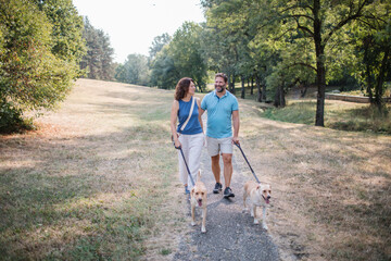 Cheerful couple walking their dogs in the park