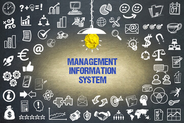 Management Information System  © magele-picture