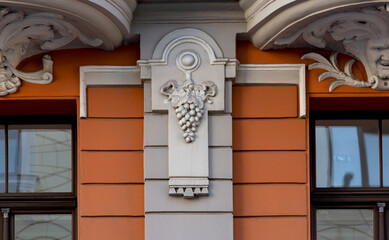 racimo de uvas solitario en la pared naranja