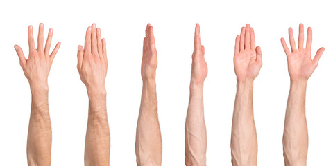 Male straight arm from different angles isolated on transparent background, png file