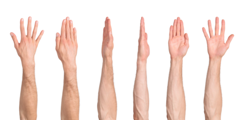 Male straight arm from different angles isolated on transparent background, png file