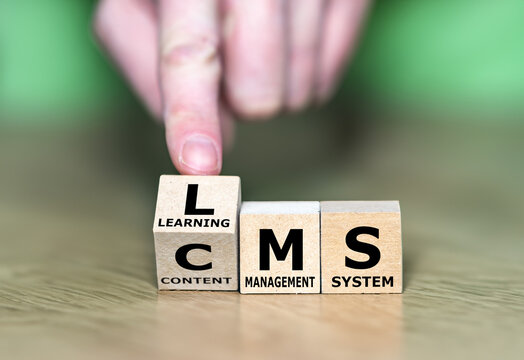 Cubes form the abbreviations CMS (content management system) and LMS (learning management system).