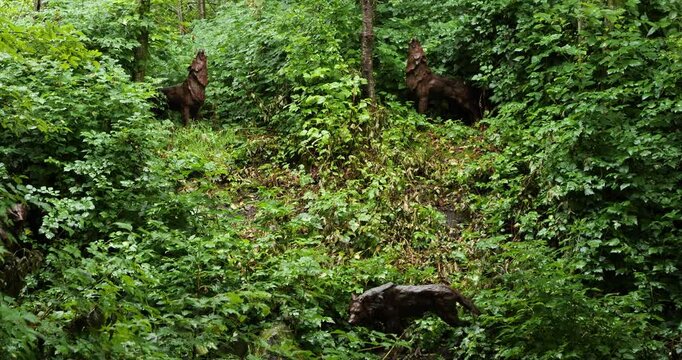 Potlatch Totem Park and Museum in Ketchikan, Alaska. Wood Carvings of wolves.