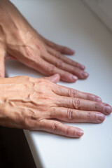 Fototapeta premium Beautiful hands of mature 50s middle aged woman. Small wrinkles and swollen veins are visible. Beautiful natural manicure