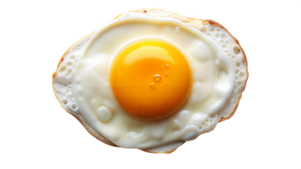 Fried egg isolated on white background, top view, png format
