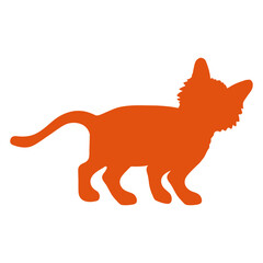 Cat Design Funny Cool Cartoon Cute Cats Lovers Cartoon Comic Fun Love Sweet Kittens Adorable Feline Like Playful Kitties Fur Baby Illustration Paw Pet Owners