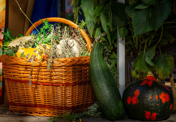 Wilkin basket, decorative pumpkins, heather flowers, autumn decorations outside.