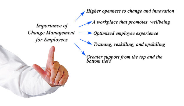 Importance of Change Management for Employees