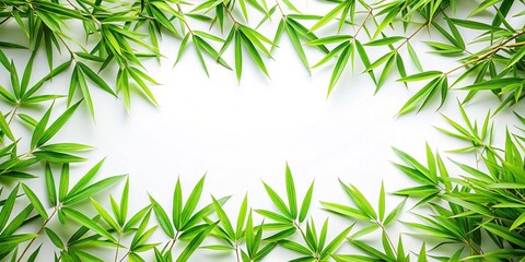 Bamboo Grass Frame with Leaves Isolated on White Background for Natural Aesthetics and Eco-Friendly Design