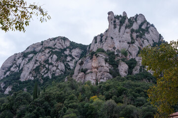 Naklejka premium large Rocky Mountains and green trees