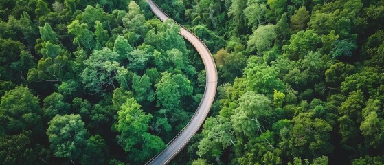 A winding road cuts through a lush green forest, viewed from above, evoking a sense of adventure and harmony with nature, full of vibrant foliage.