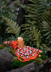 Burning candle, spiral made of snail shells and rowan berries in forest, natural background. Magic...
