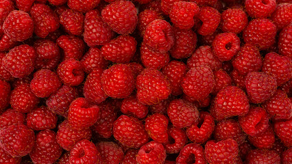 Tasty fresh raspberry as a background.