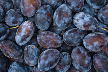 Fresh plums background. Top view. Organic food.