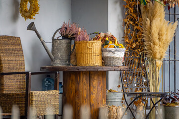 autumn decoration made of dried blades of pampas grass, heather, and an old metal watering can. autumn decoration in the garden. © Adam
