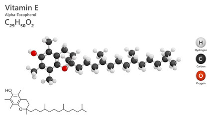 Alpha-tocopherol or Vitamin E. Model of molecule. Molecular formula: C29H50O2. Chemical model: Ball and Stick. White background. 3d illustration