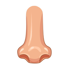 Close Up Human Nose icon. Part Of Body. Vector illustration.