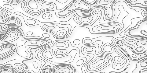 Topographic map background. Grid map. Pattern of contour lines. White topology and topography vector design abstract background contour map texture for print works