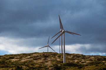 The wind turbines are a sign of progress, a commitment to a cleaner, greener world.