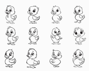 Fototapeta premium Collection of baby duck Outline Design - Cute duck Vector illustration 