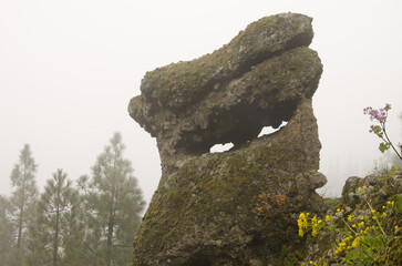 Rock in the fog. Gran Canaria. Canary Islands. Spain.