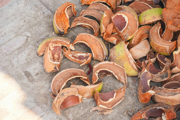 An abandoned husk coconut shells on the concrete floor outside the shop