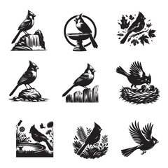 Fototapeta premium Set of Northern cardinal Vector illustration, Northern cardinal Bird Different Activities silhouettes 