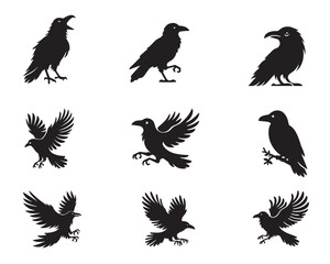 Fototapeta premium Set of Raven Bird silhouette Design - ‎Common Raven Vector illustration 