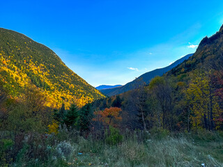 Fall Colors in Crawford Notch