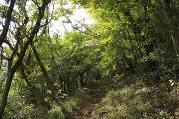 湯河原　ハイキング