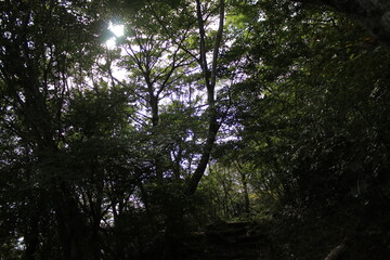 湯河原　ハイキング