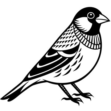 recommend clip art: finch on a branch