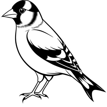 recommend clip art: goldfinch  on a branch
