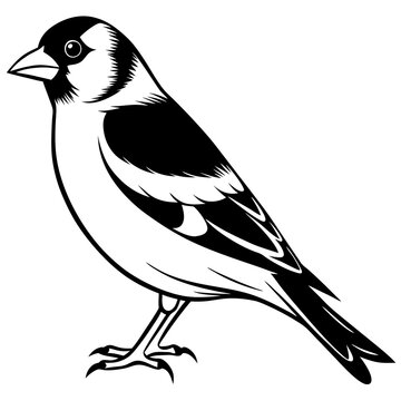 recommend clip art: goldfinch  on a branch