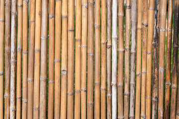 Wood bamboo background texture, abstract, nature background