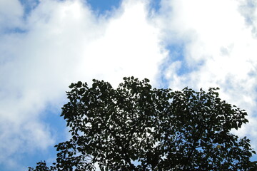 湯河原　ハイキング