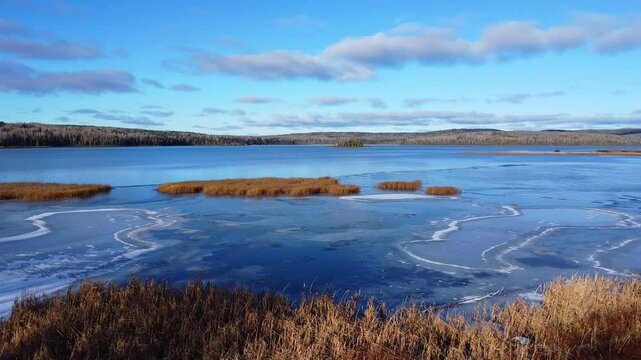 A drone approaches a partially frozen freshwater lake where islands of aquatic plants emerge from the thin layer of ice under a cloudy blue sky. Lac Matapedia, Quebec.