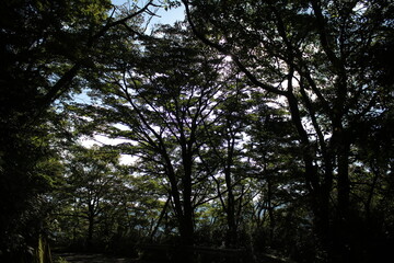 湯河原　ハイキング