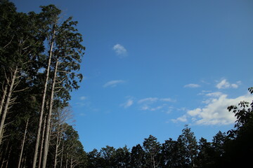 湯河原　ハイキング