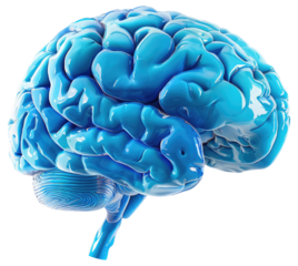 Blue Brain Isolated on Transparent Background.
