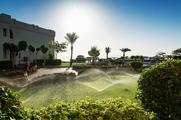 Sharm El Sheikh. Egypt. Beautiful sunset on the hotel grounds. Sunlight. Green grass.