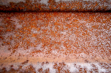 Background of rusty steel. Grunge texture.
