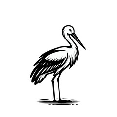 Fototapeta premium Stork isolated vector illustration